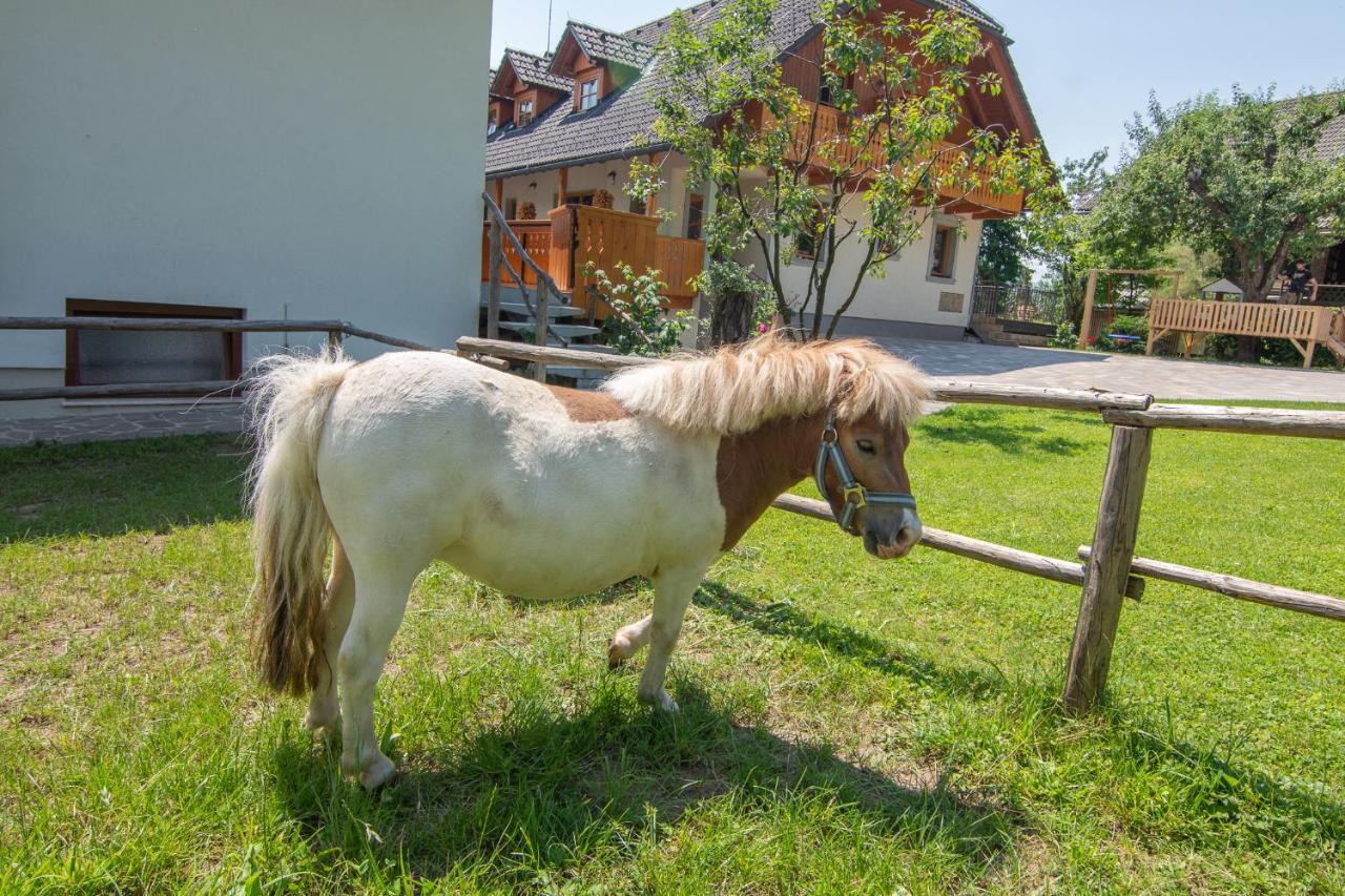 Tourist Farm "Pri Biscu" Villa Bled Buitenkant foto