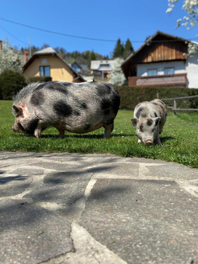 Tourist Farm "Pri Biscu" Villa Bled Buitenkant foto